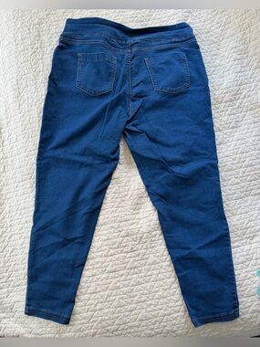 Terra & Sky Dark Blue Stretch Denim Jeggings
